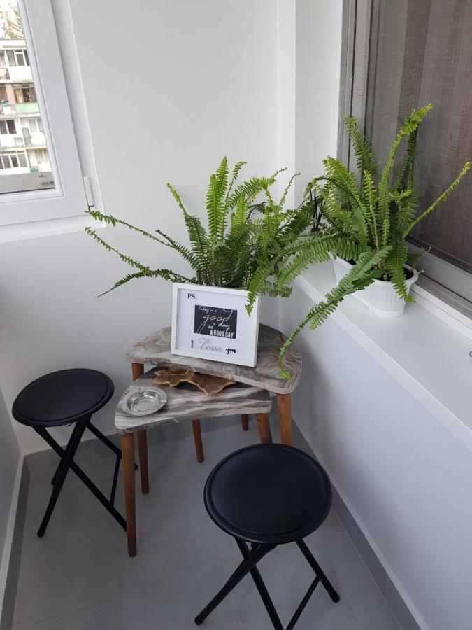 Râmnicu Vâlcea Ana Apartament מראה חיצוני תמונה