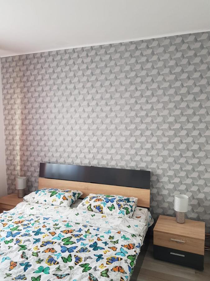 Râmnicu Vâlcea Ana Apartament מראה חיצוני תמונה